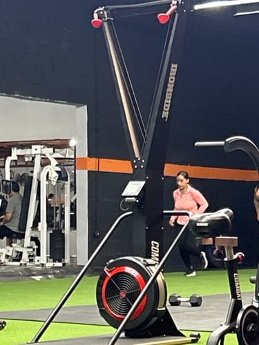 Customer photo review of Air Ski Erg - Esquiadora IRONSIDE Combat