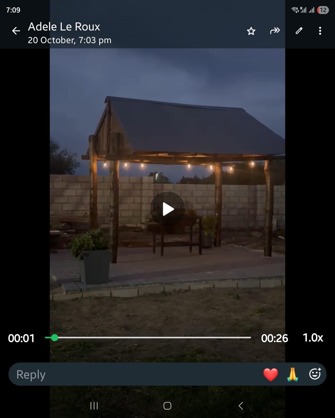 Customer photo review of Solar Festoon Bulb String Lights