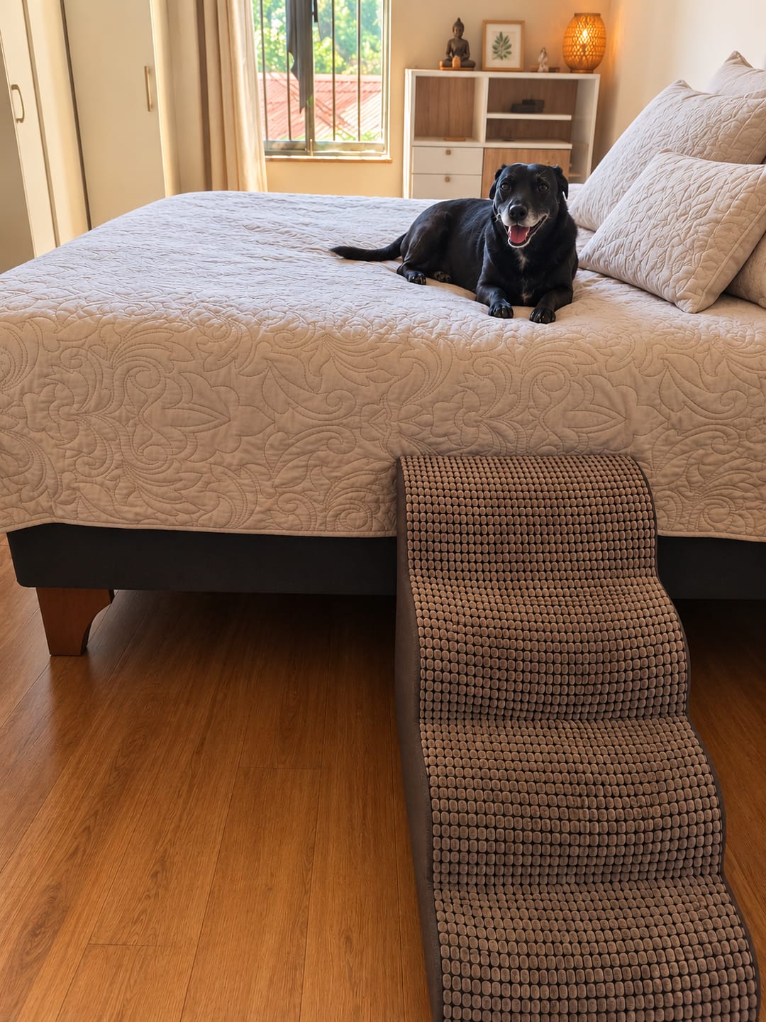 Customer photo review of Rampa Pendiente Suave THE DOGS