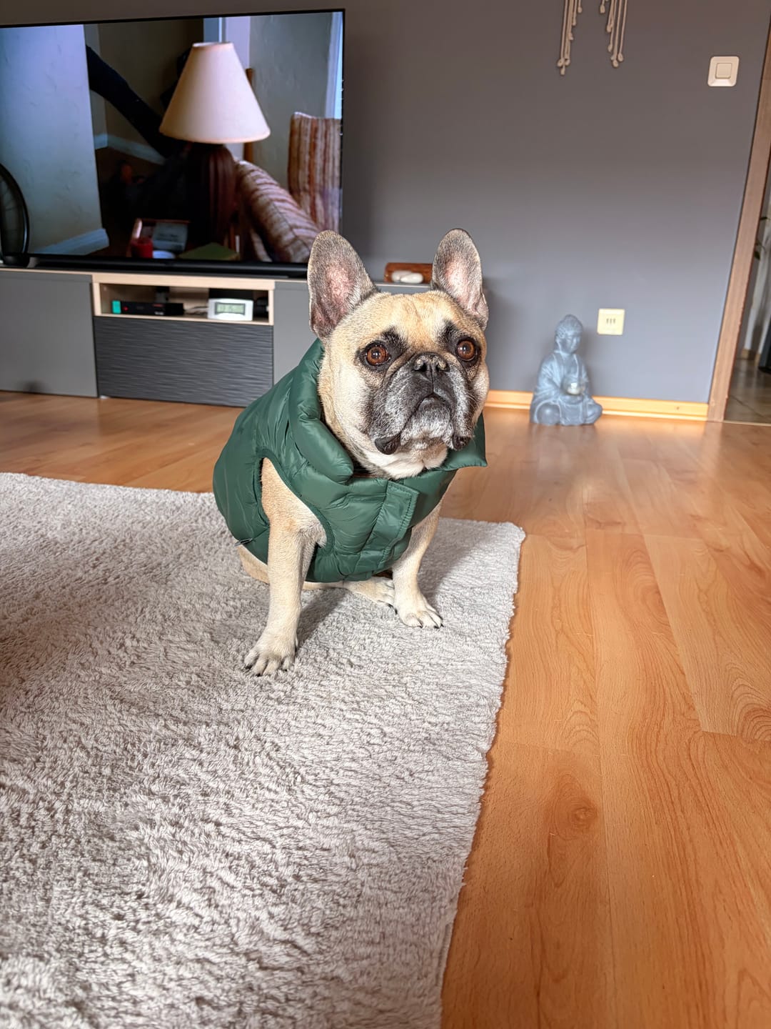 Customer photo review of ThermoSonic Winter Jacket - Green