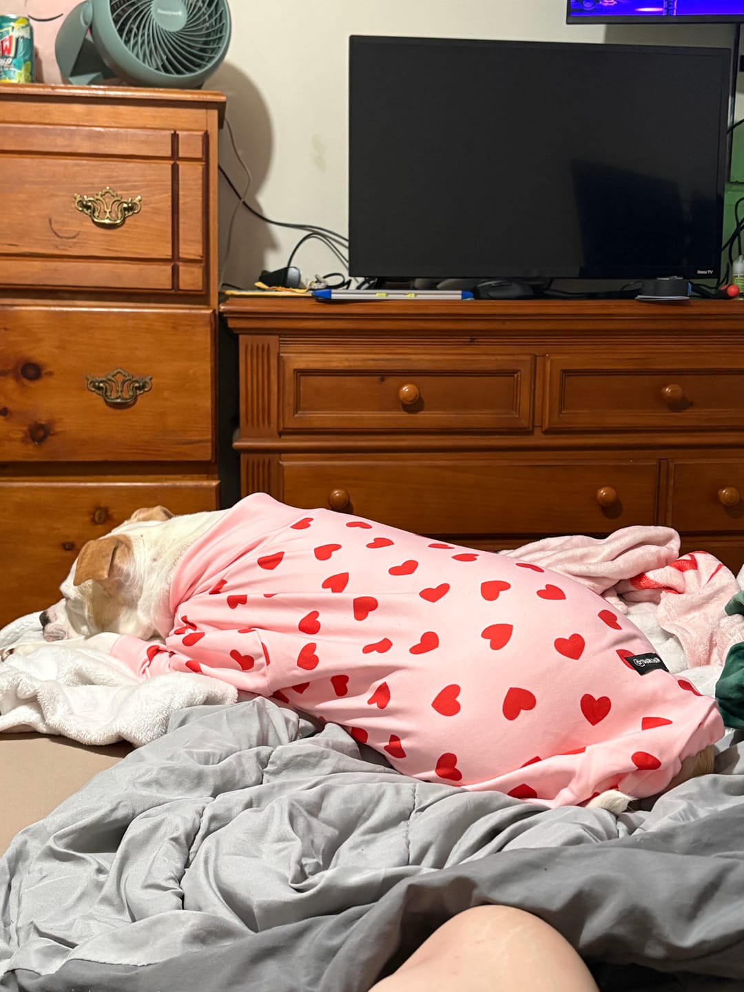 Customer photo review of Dog Pajama - Pink Hearts
