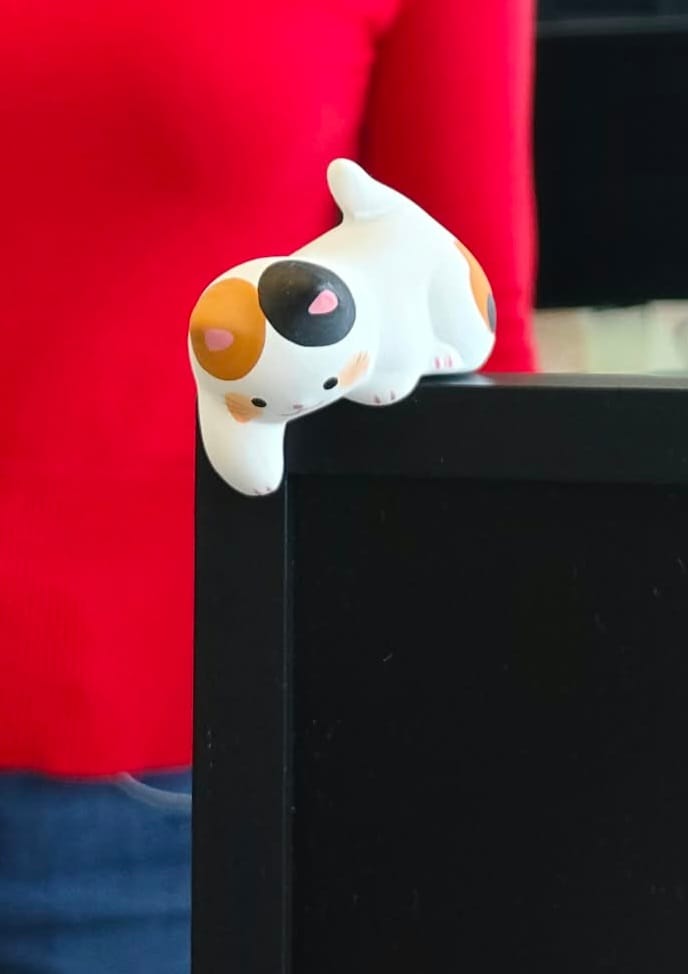Customer photo review of Figurita Gato Neko