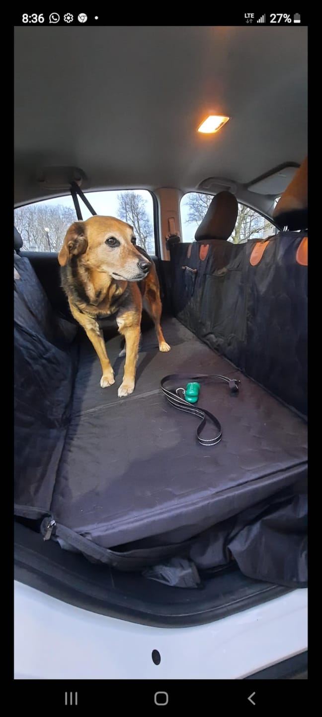 Customer photo review of Car Seat Cover & Back Seat Extender (Hard Bottom) for Dogs