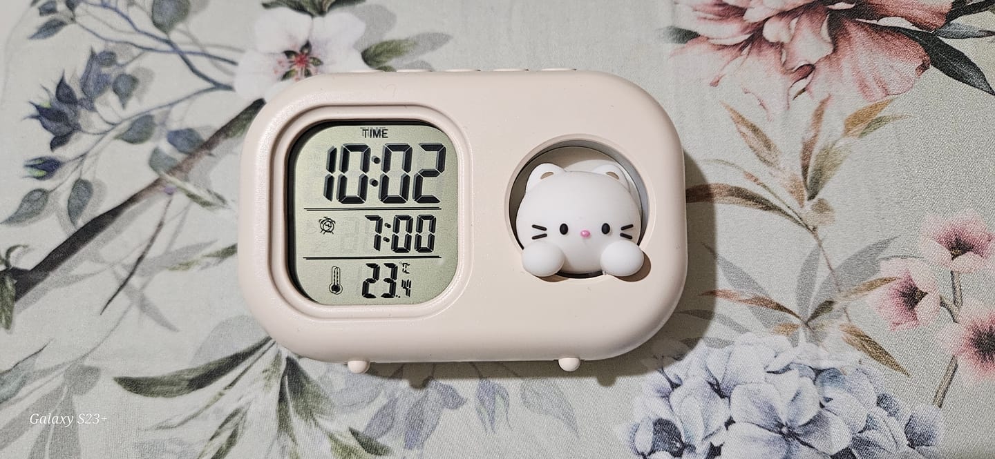 Customer photo review of CAT DIGITAL CLOCK