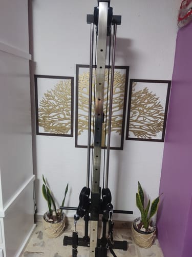 Customer photo review of Polea Alta LITE IRONSIDE