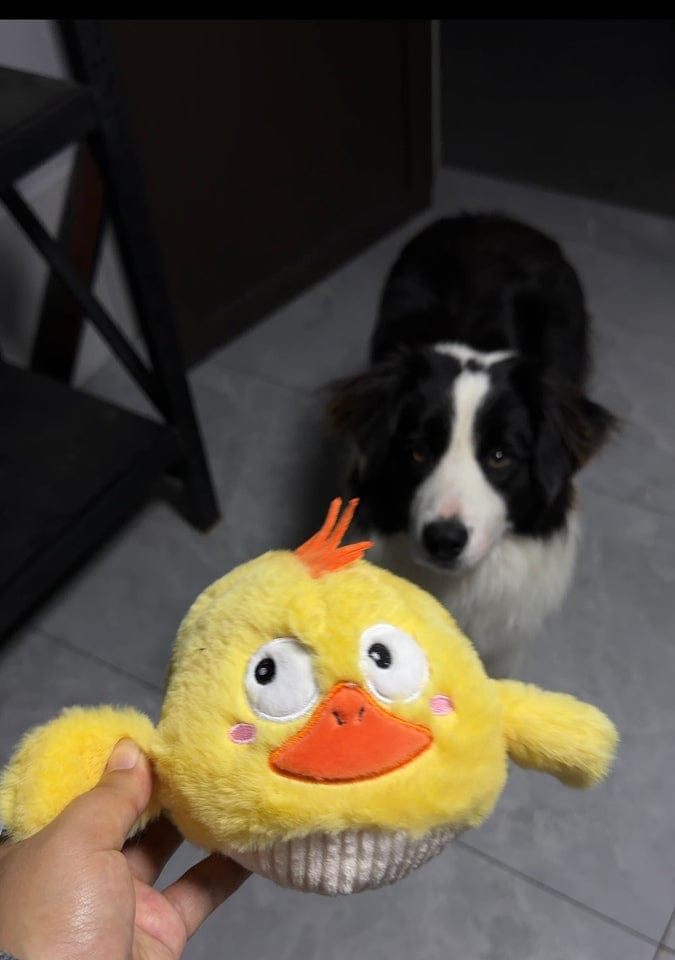 Customer photo review of Side-Eye Chick