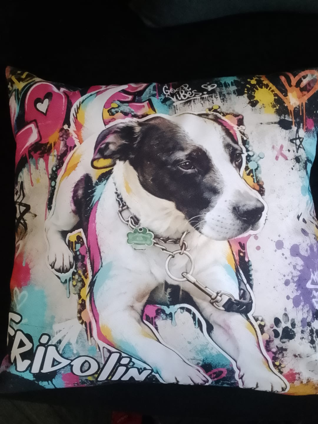 Customer photo review of Dein Haustier als Kissen - Graffiti