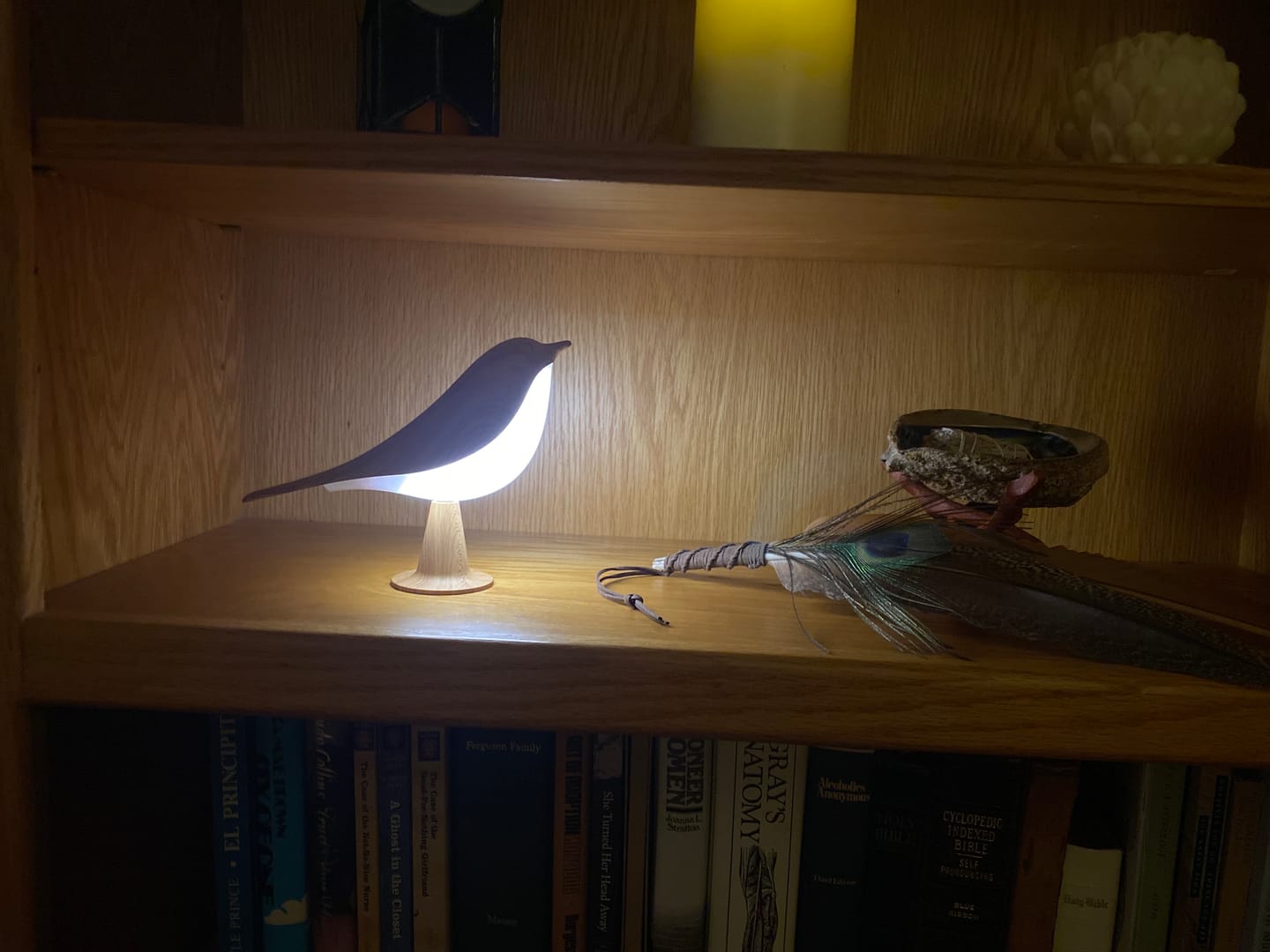 Customer photo review of Glow Bird