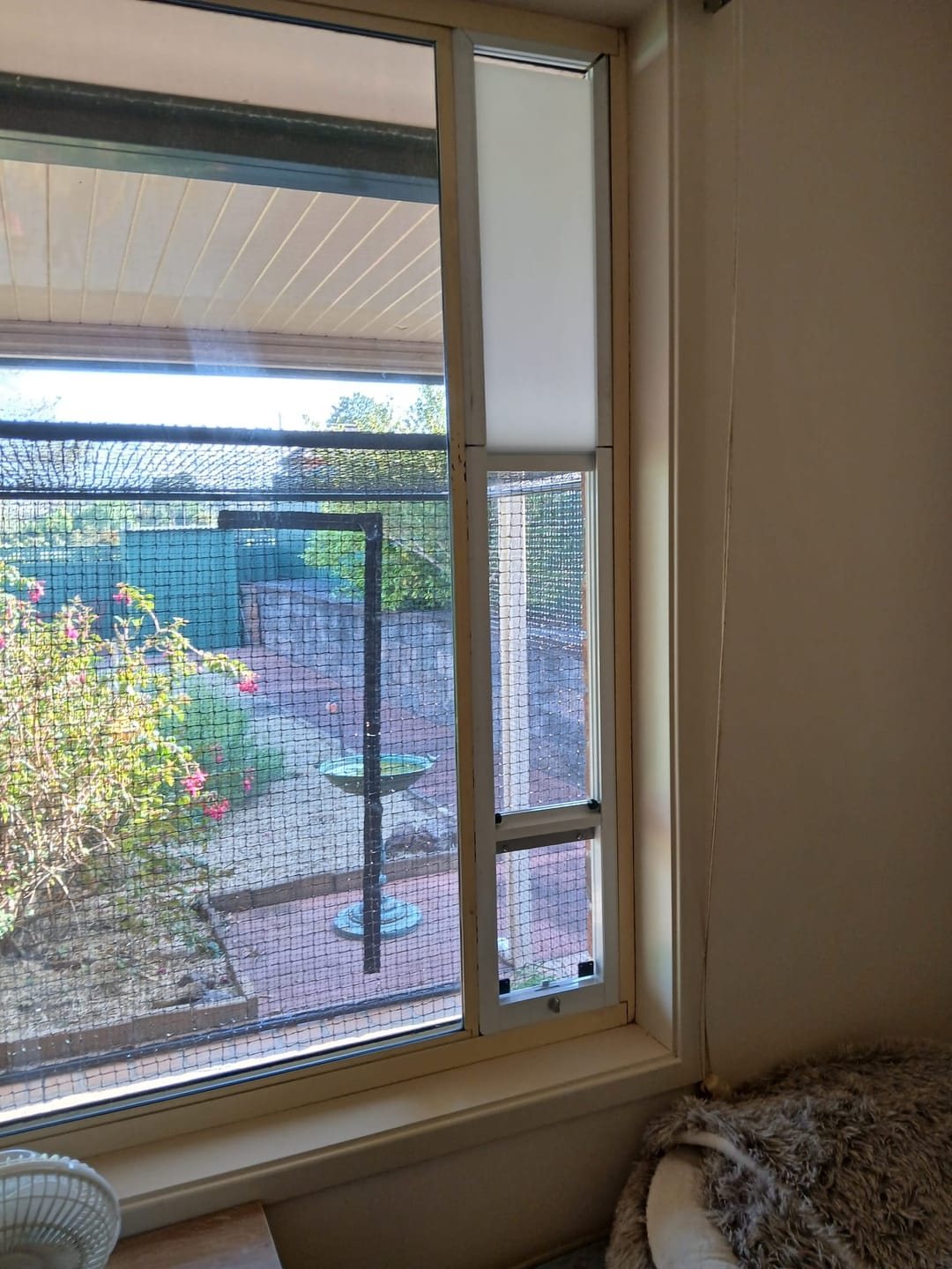 Customer photo review of Cat Door, Cat Window Insert