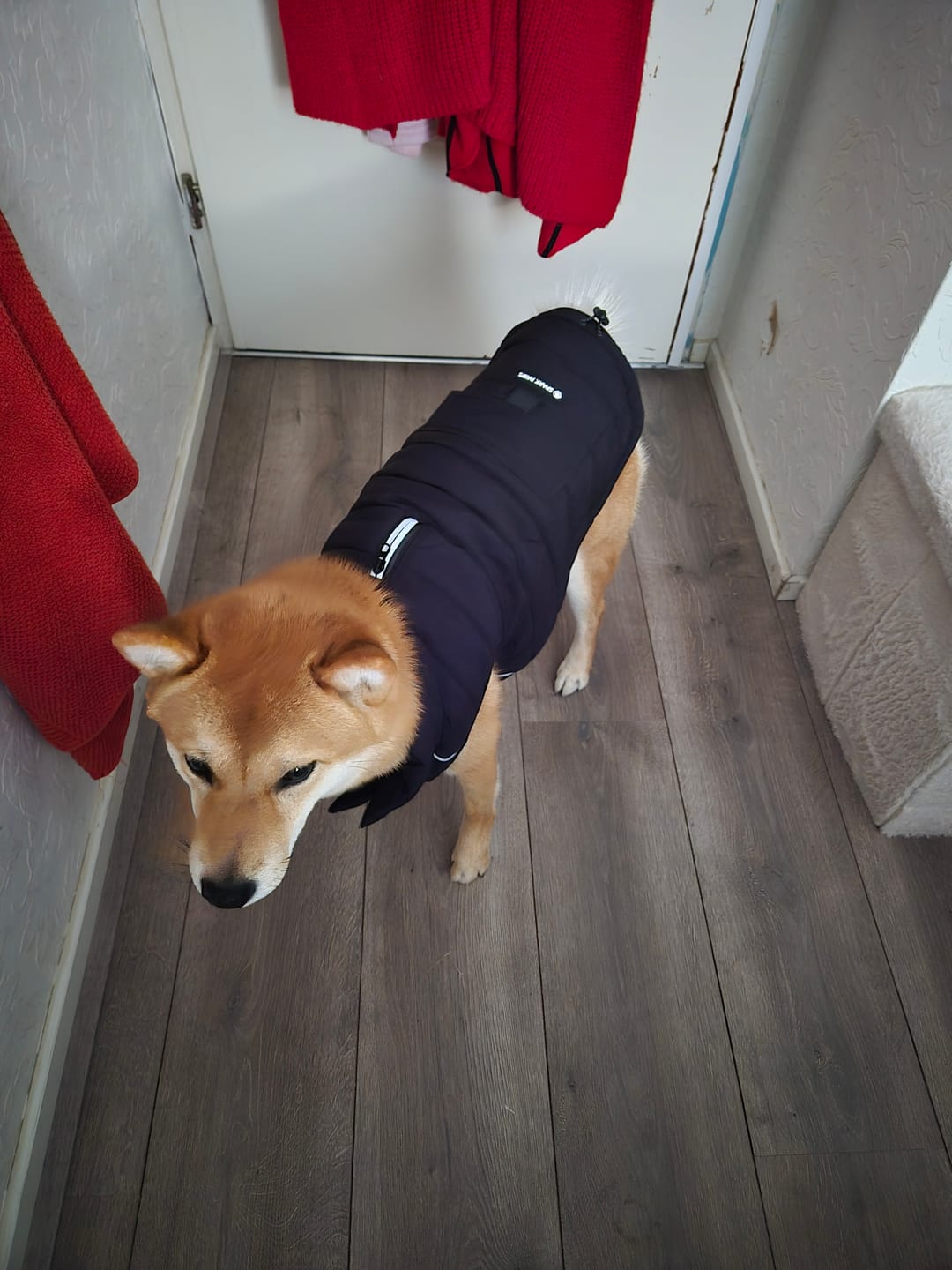 Customer photo review of WarmShield Water-Resistant Jackets