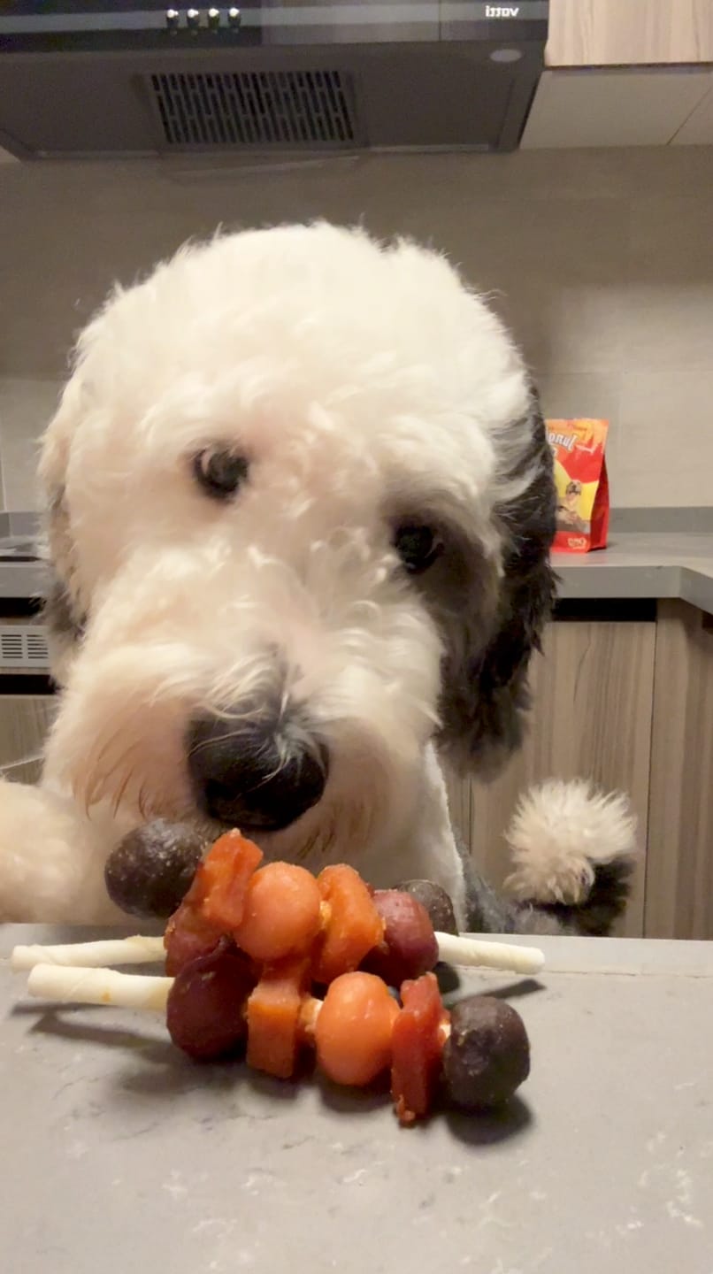 Customer photo review of Jungle Calling Dog Treats Variety Pack, Chicken Wrapped Rawhide Donuts & Multi-Flavor Kabobs, 2-Item Bundle, 19.1oz