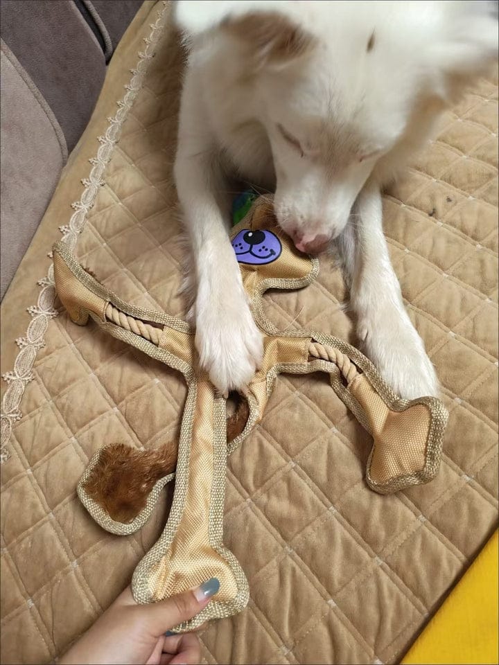 Customer photo review of Human Dog
