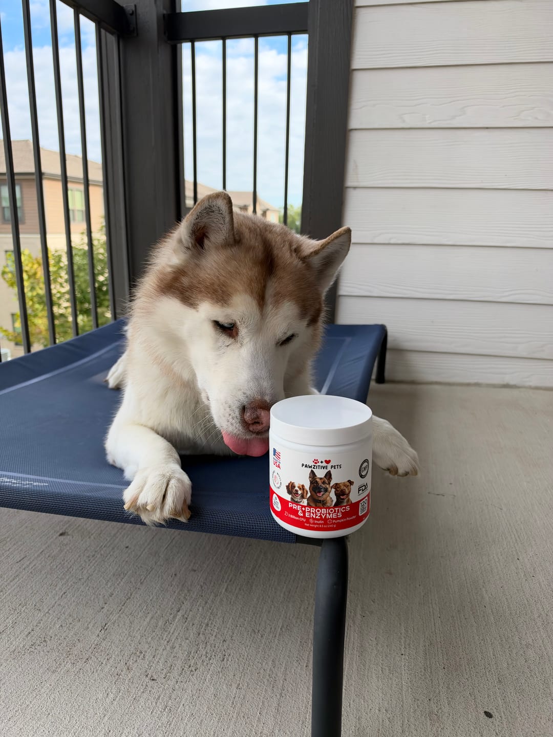 Customer photo review of Pre+Probiotics for Dogs Digestive Health – 120 Soft Chews (Beef Flavor)