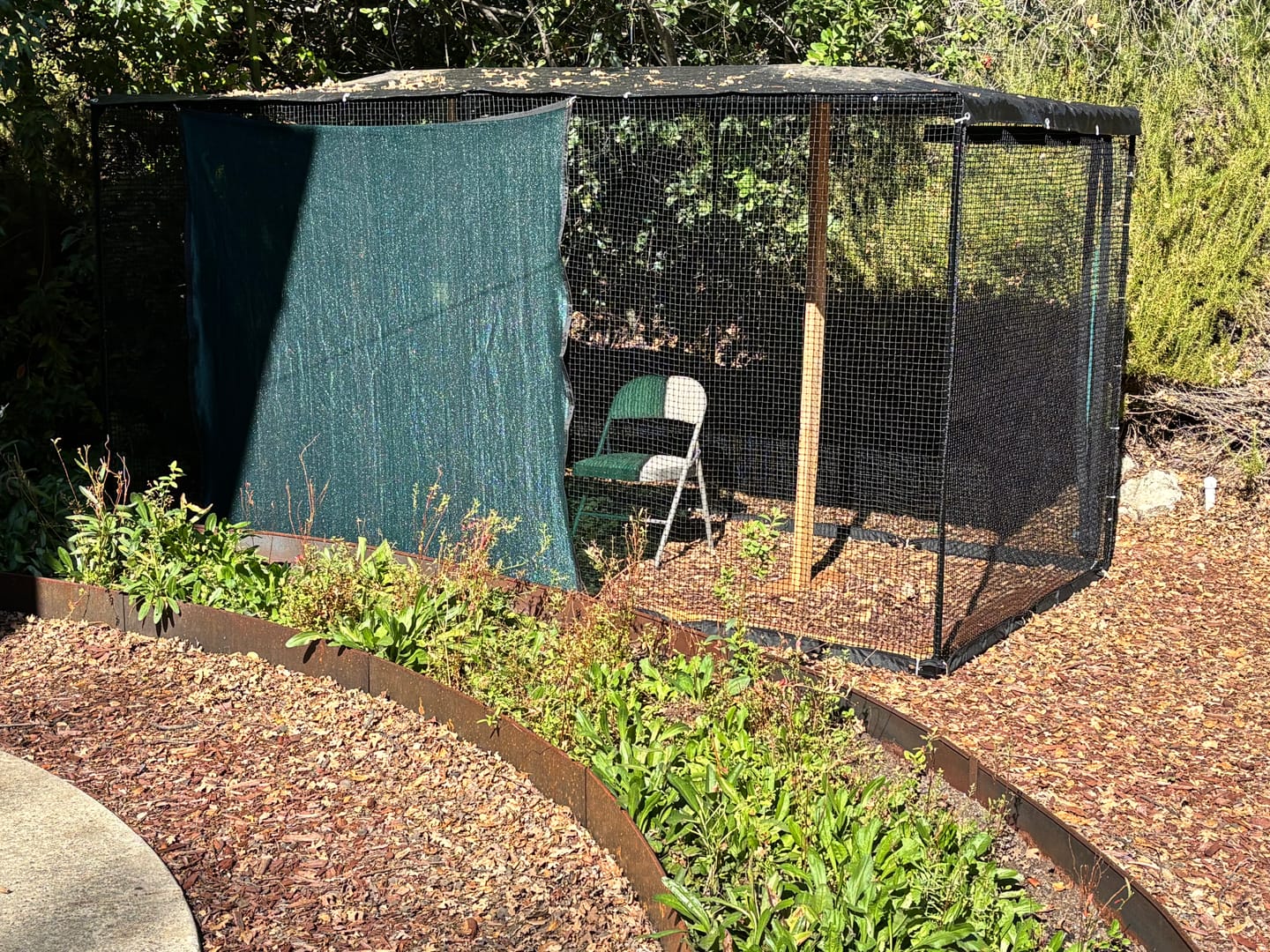 Customer photo review of Cat Enclosure | XL