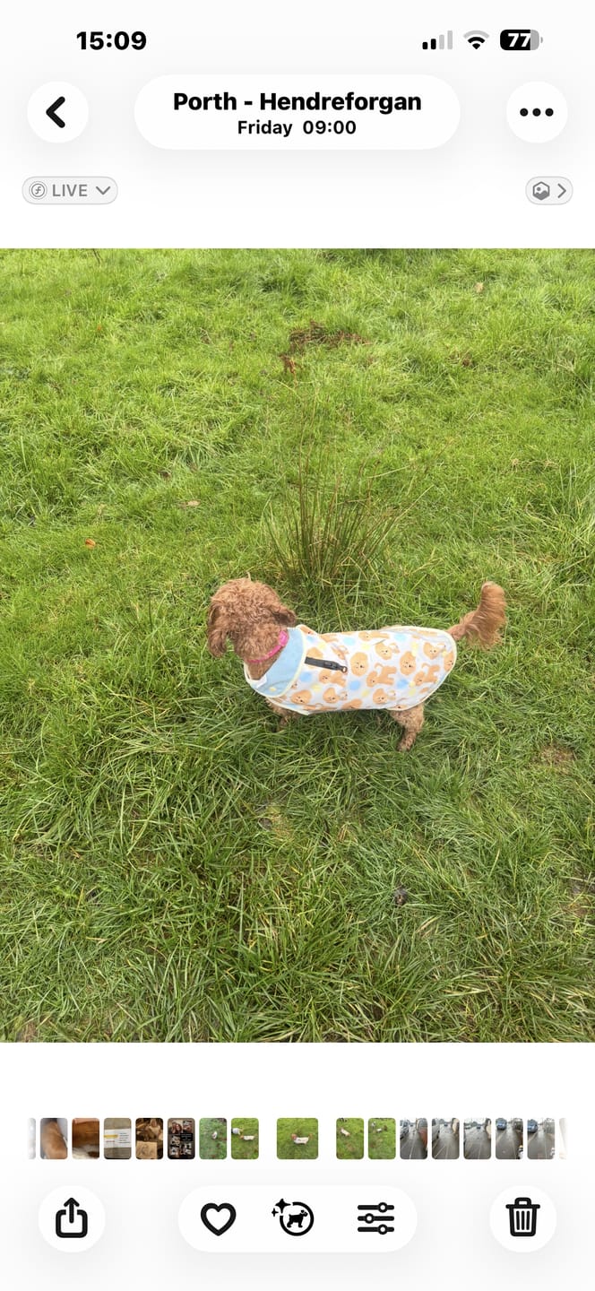 Customer photo review of Rain Jacket - Curly Club