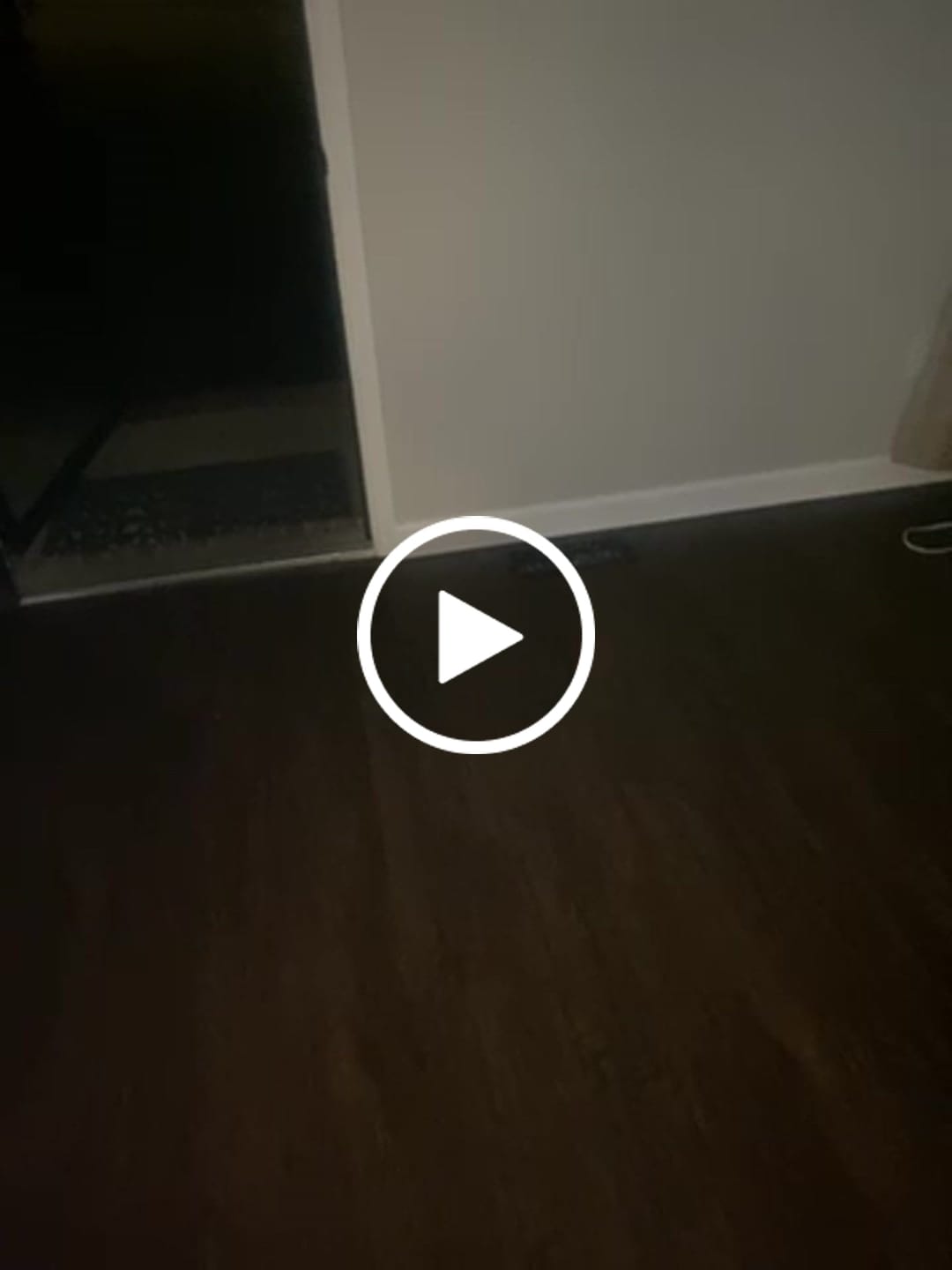 Customer video review of Frozen Lemonade - Sativa 1.5g Pre-Roll