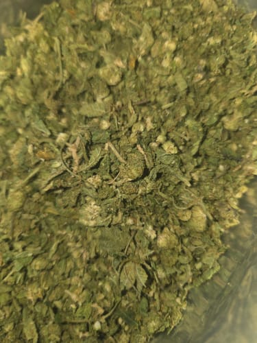 Customer photo review of Cheap THCA Flower Trim