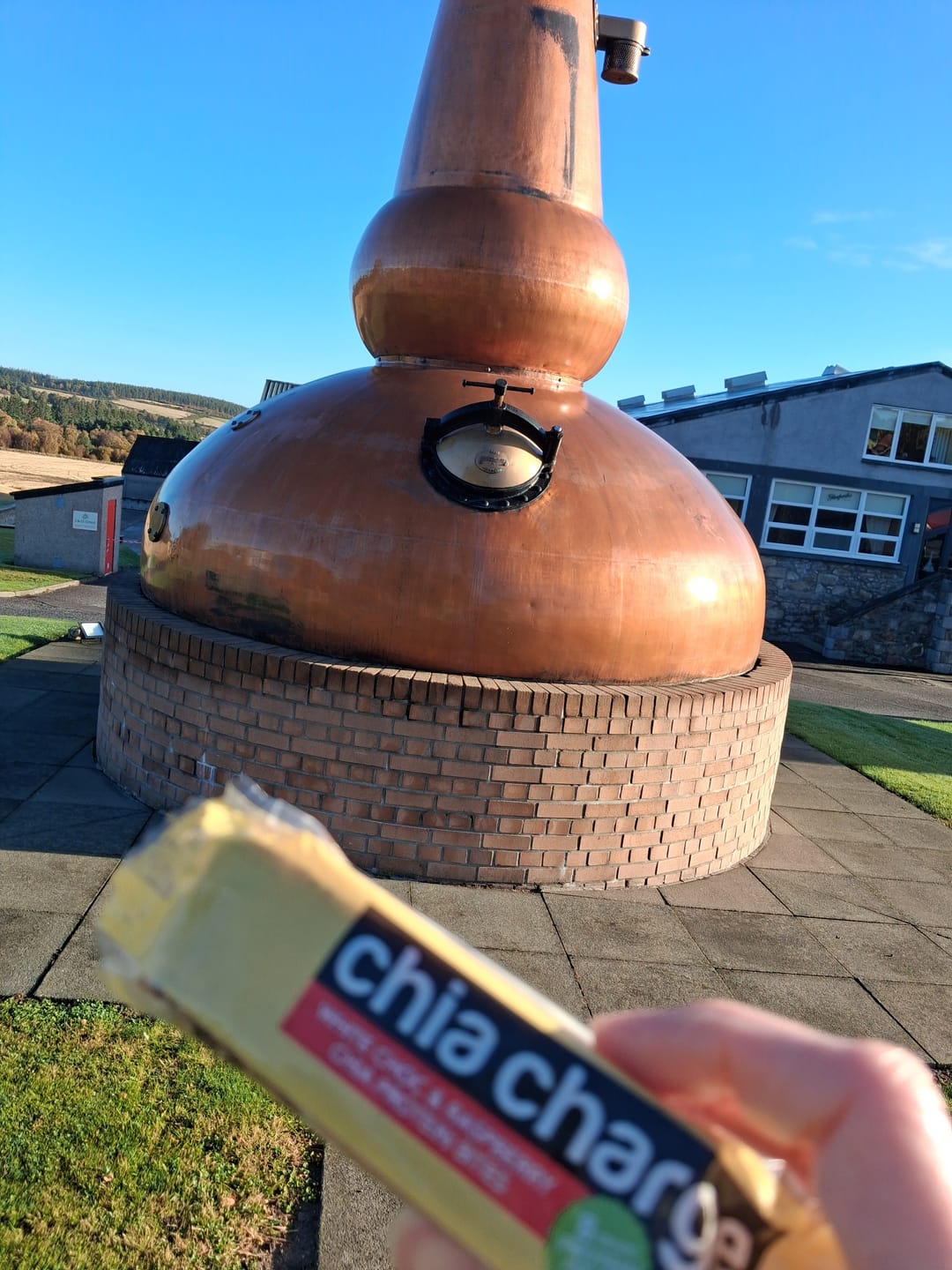 Customer photo review of Protein Bites 8g Protein/ bar