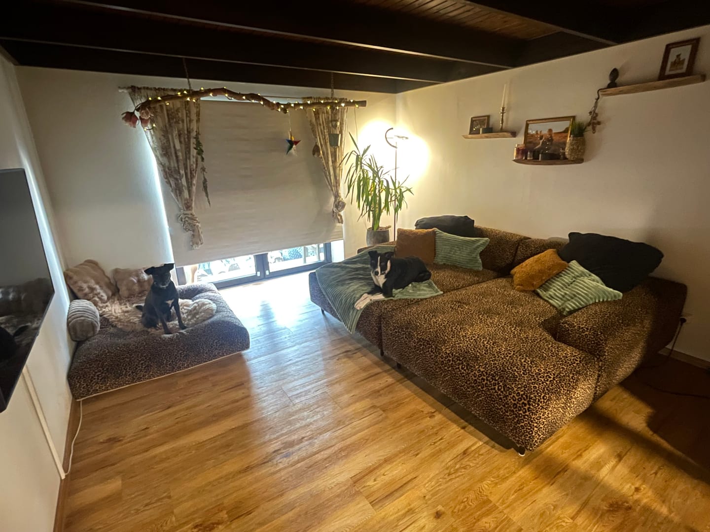 Customer photo review of Petite Bigsofa 240x190 - Leo-Stoff - inkl. Füße - Kom. Budde inkl. 20%