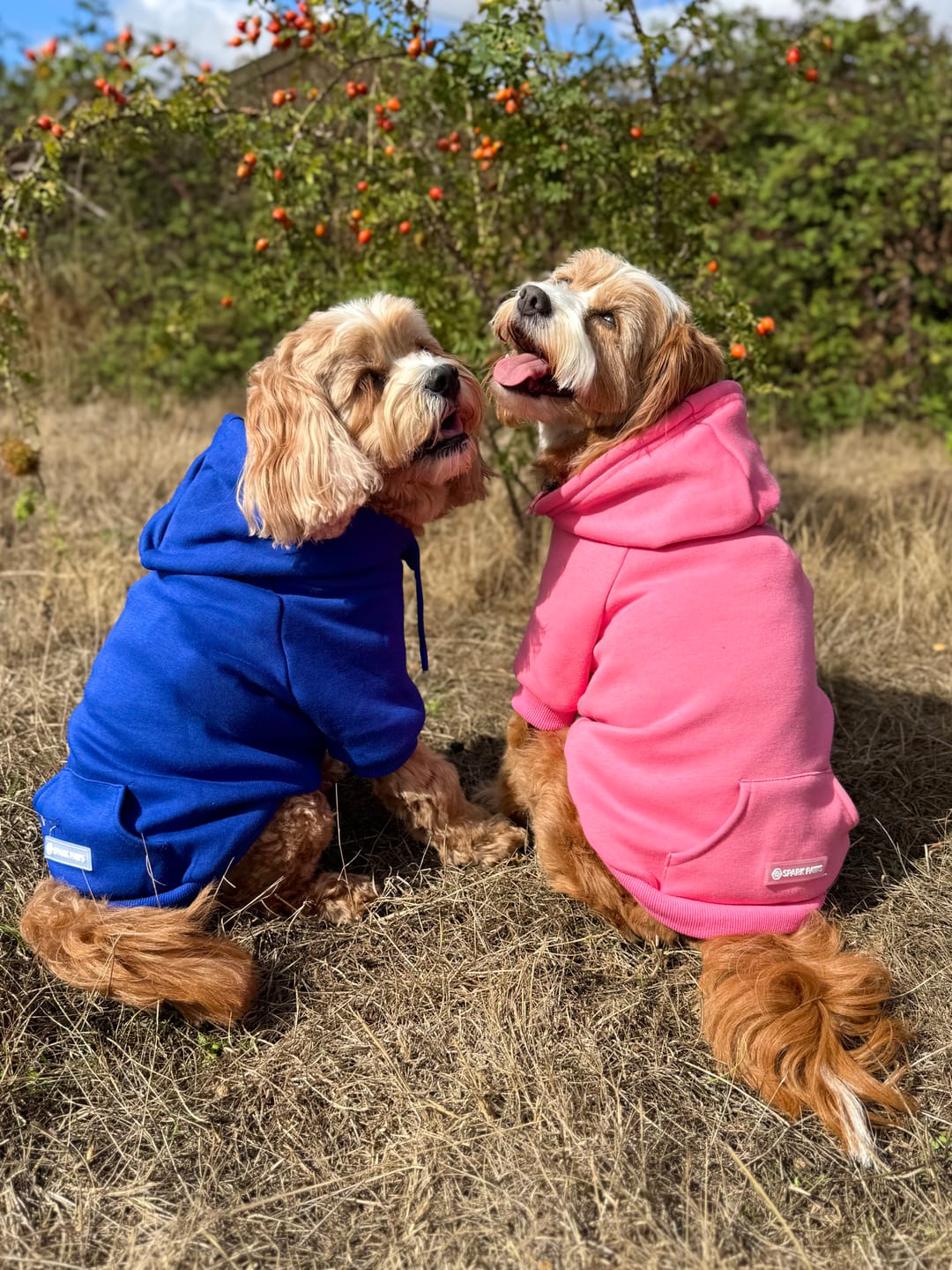 Customer photo review of Essential Dog Hoodie - Midnight Blue