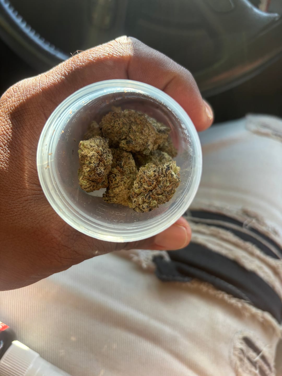 Customer photo review of Exotic Indoor Express THCA Flower (7 Grams)