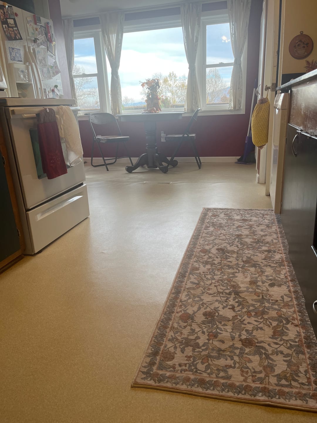 Customer photo review of Vintage Pomegranate Foliage Rug