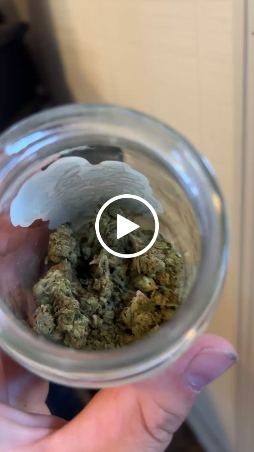 Customer video review of Greenhouse Flower
