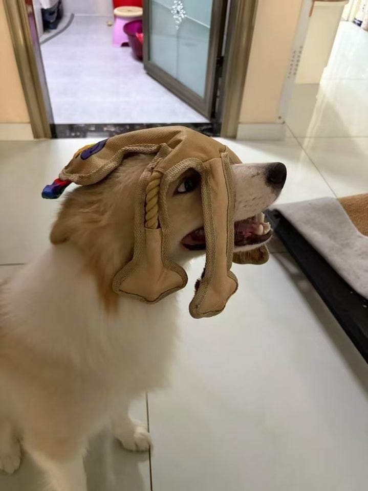 Customer photo review of Human Dog