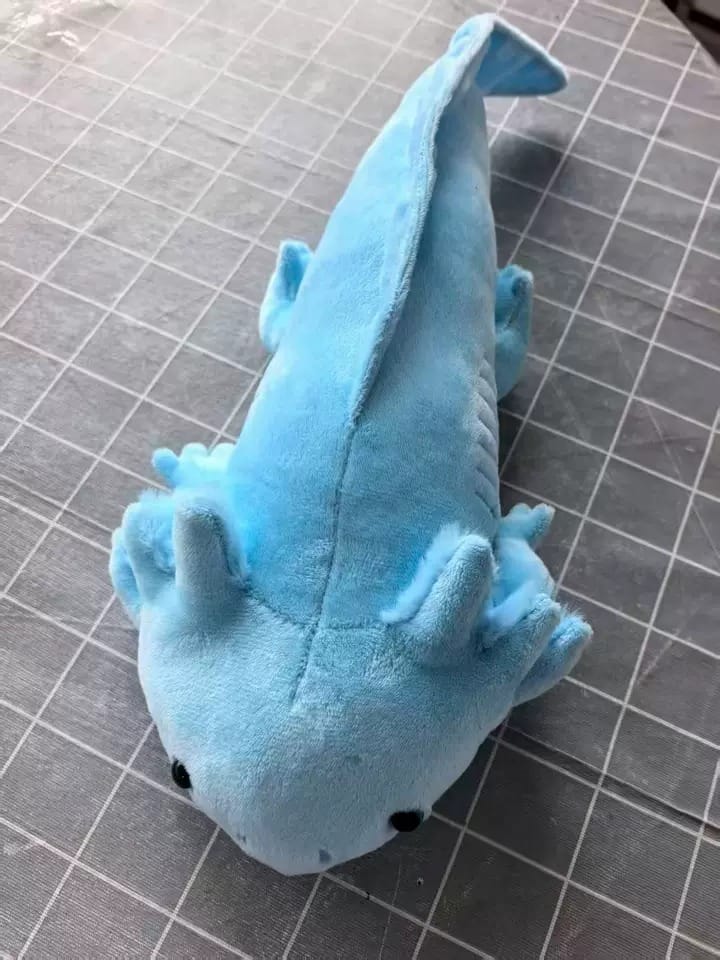 Customer photo review of Pino Axolotl Plush Toy