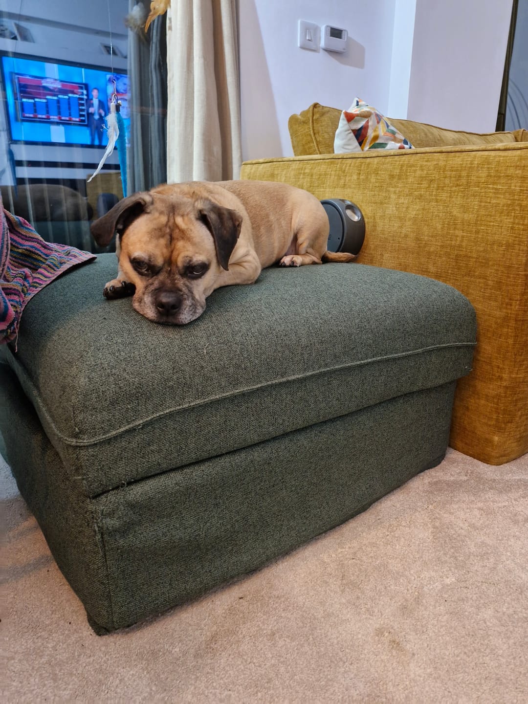 Customer photo review of Cover for VALLENTUNA IKEA Seat Module With Storage