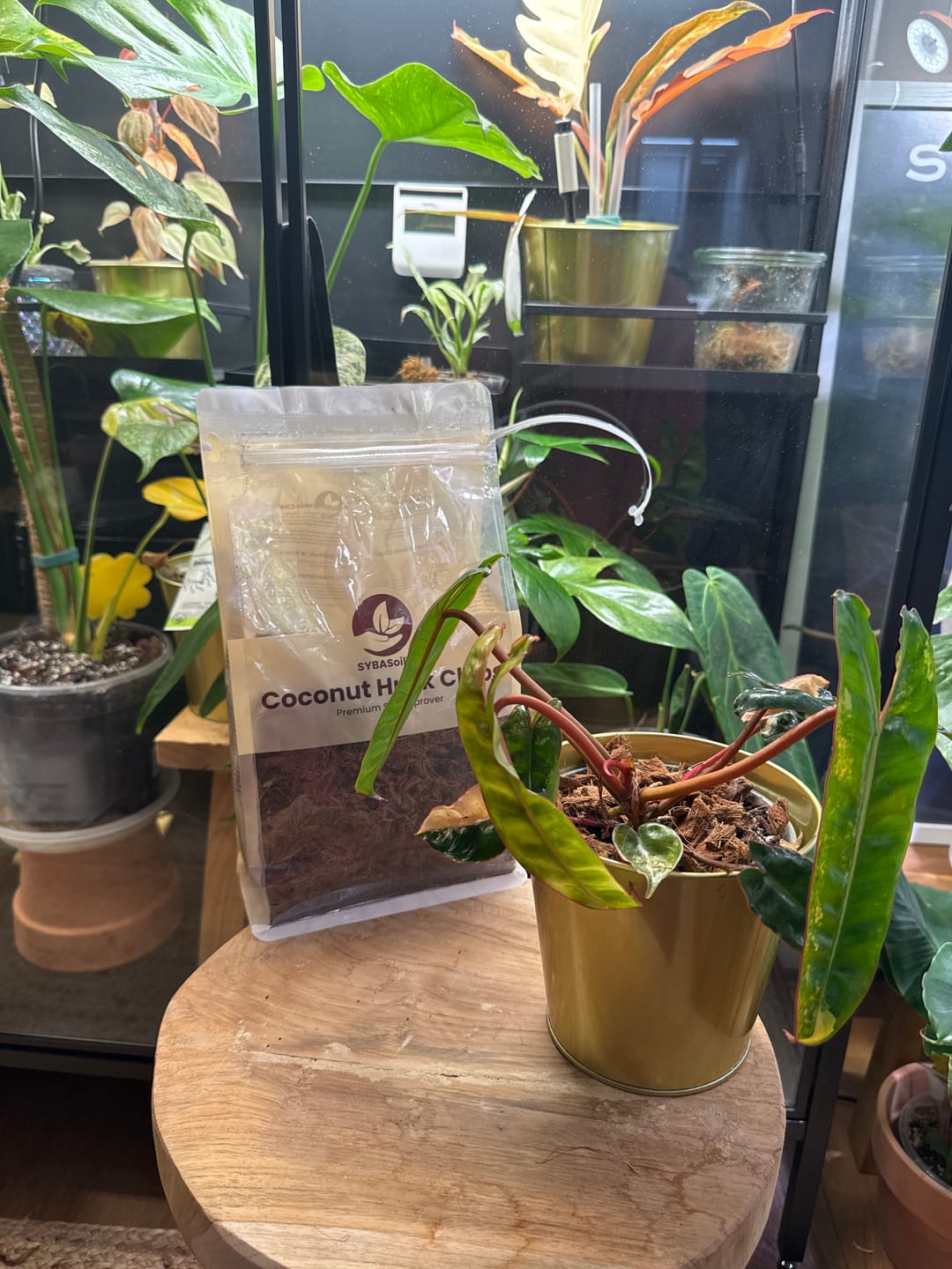 Customer photo review of Coconut Husk Chips