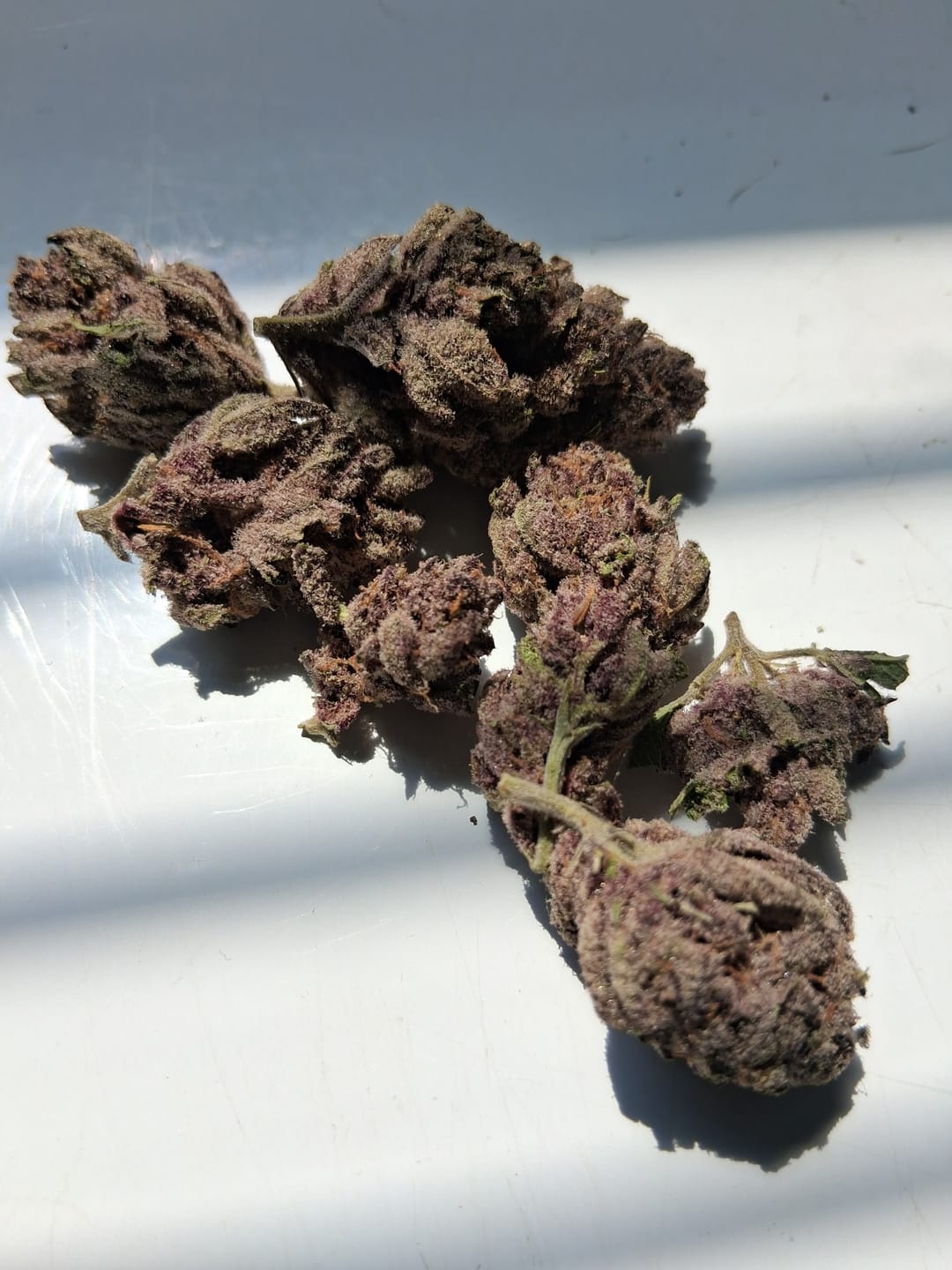 Customer photo review of Blue Gelato THCA Flower