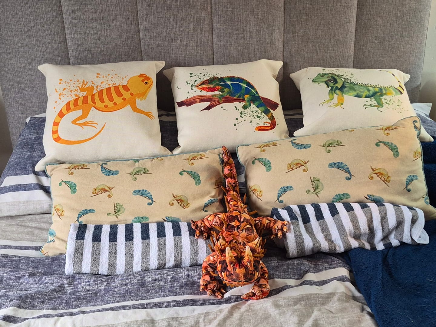 Customer photo review of Thorny Devil Lizard Soft Stuffed Plush Toy