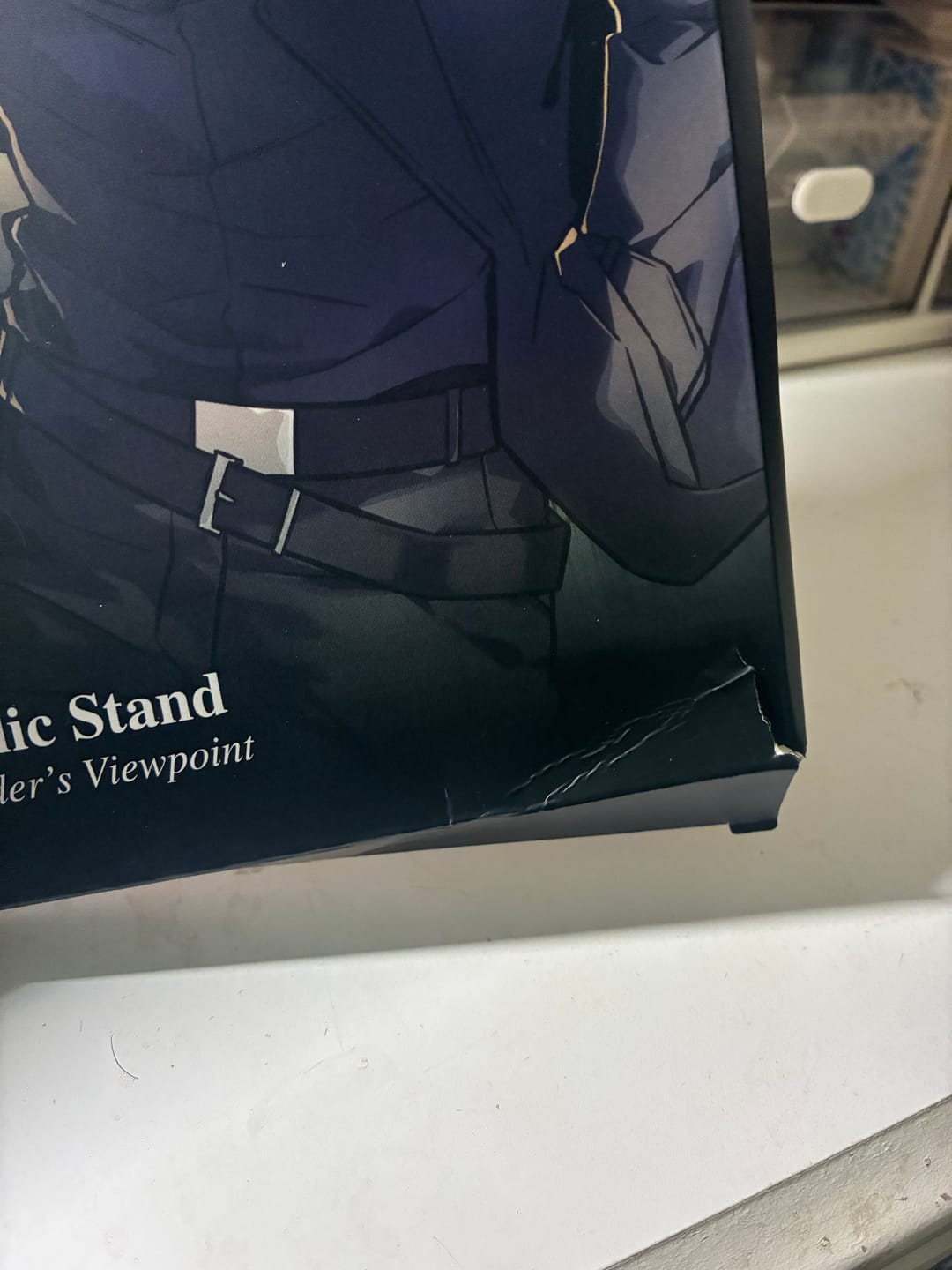 Customer photo review of Omniscient Reader's Viewpoint - Demon King of Salvation - Acrylic Diorama (Demon King of Salvation)