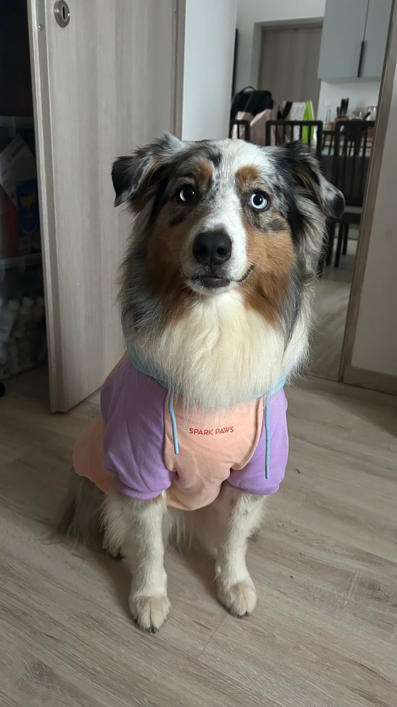 Customer photo review of Cotton Candy Dog Hoodie
