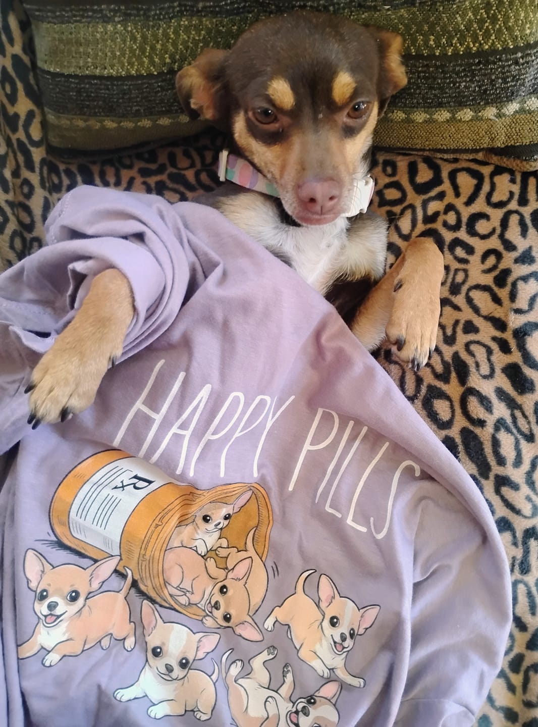 Customer photo review of Happy Pills Chihuahua Shirt