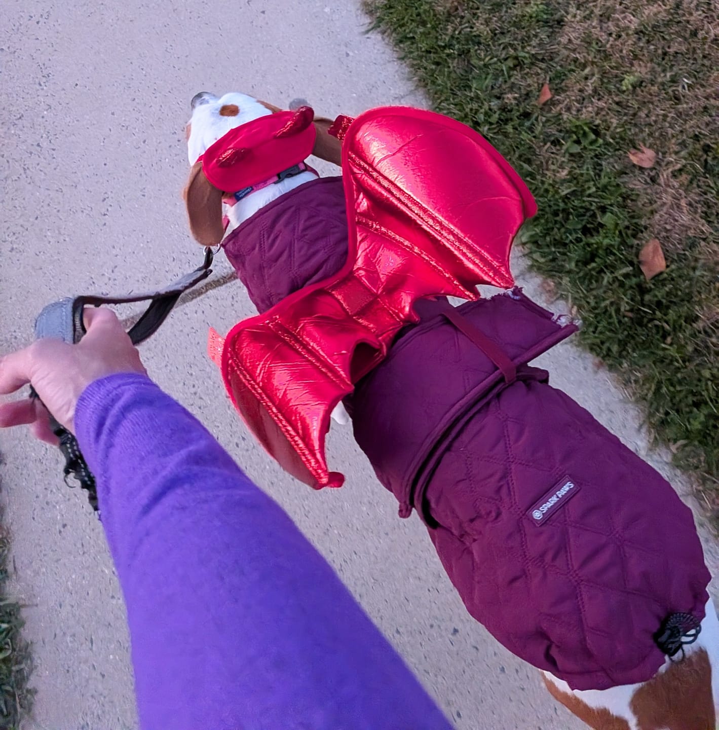 Customer photo review of Quilted Classic Winter Coat - Red