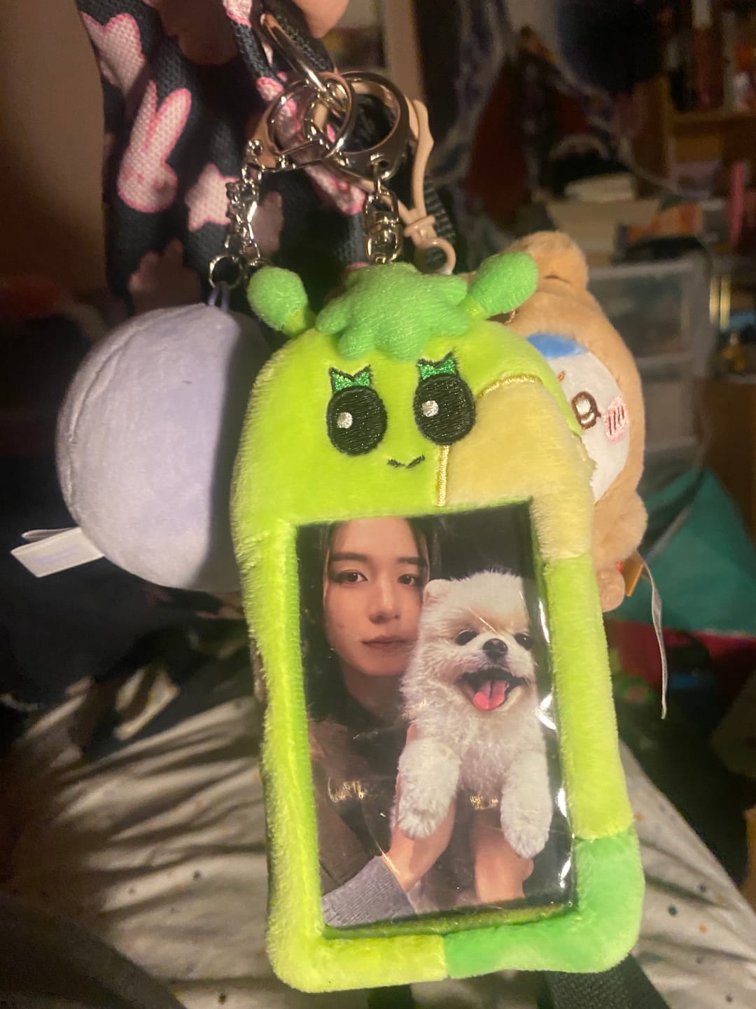 Customer photo review of BOYNEXTDOOR [BBNEXDO] Photocard Holder