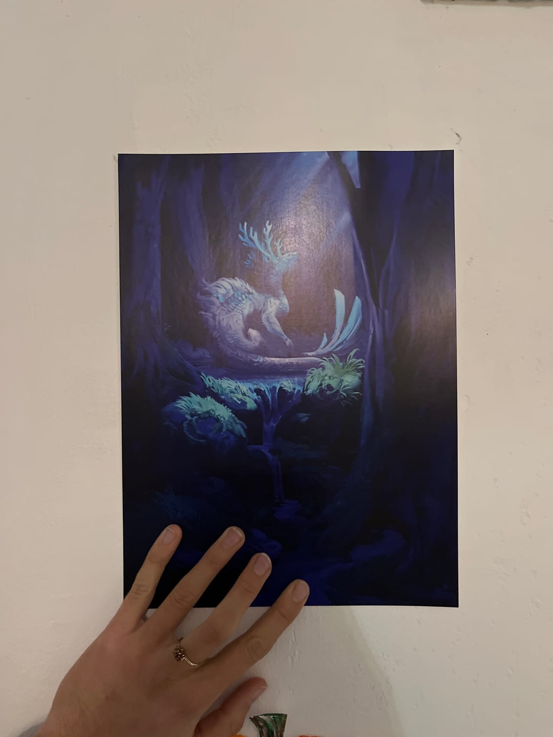 Customer photo review of 1500 POINTS - Poster S3 offert