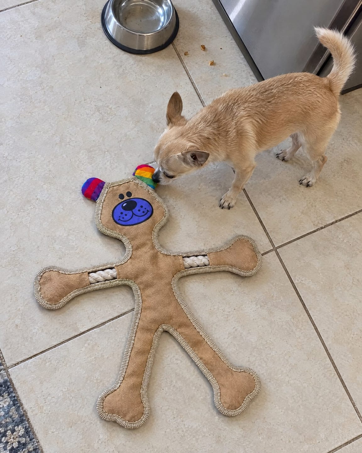 Customer photo review of Human Dog