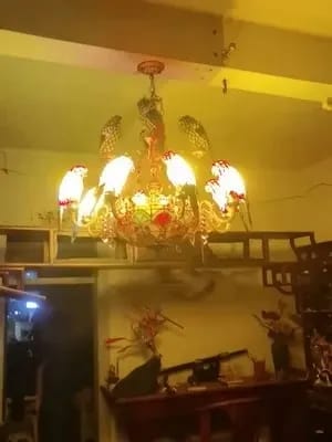 Customer photo review of Gold Chandelier, Stained Glass Style Parrots, 6 to 12 Birds, 77 cm