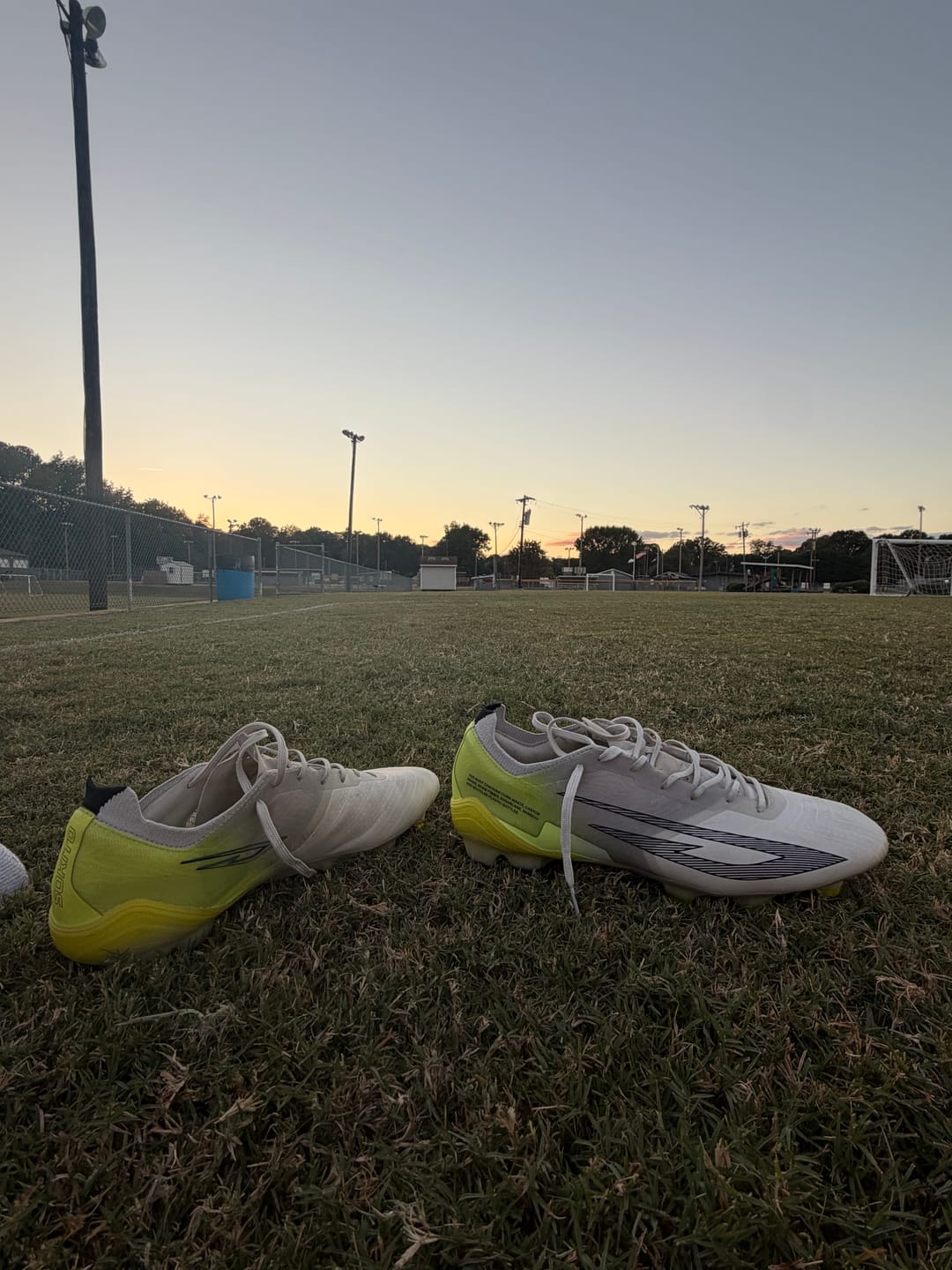 Customer photo review of Scudetta FG