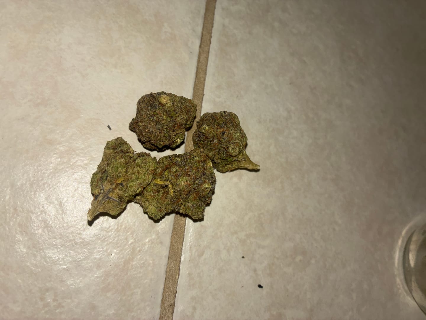 Customer photo review of Khalifa Kush THCA Flower