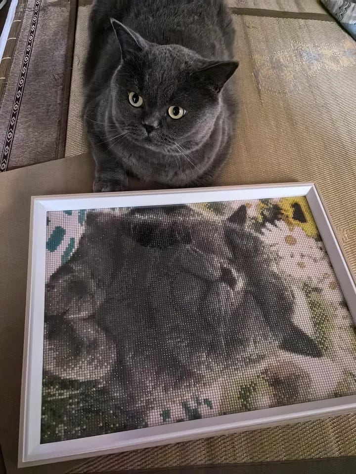 Customer photo review of Custom Diamond Painting Kit - Turn Your Photo Into Sparkling Art
