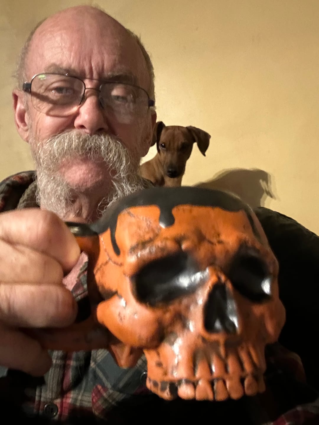 Customer photo review of Skull Mug - Pumpkin Edition