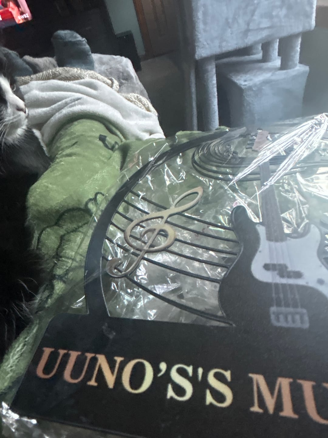 Customer photo review of Guitar Music Room, Custom Name & Guitar Type - Personalized Metal Sign