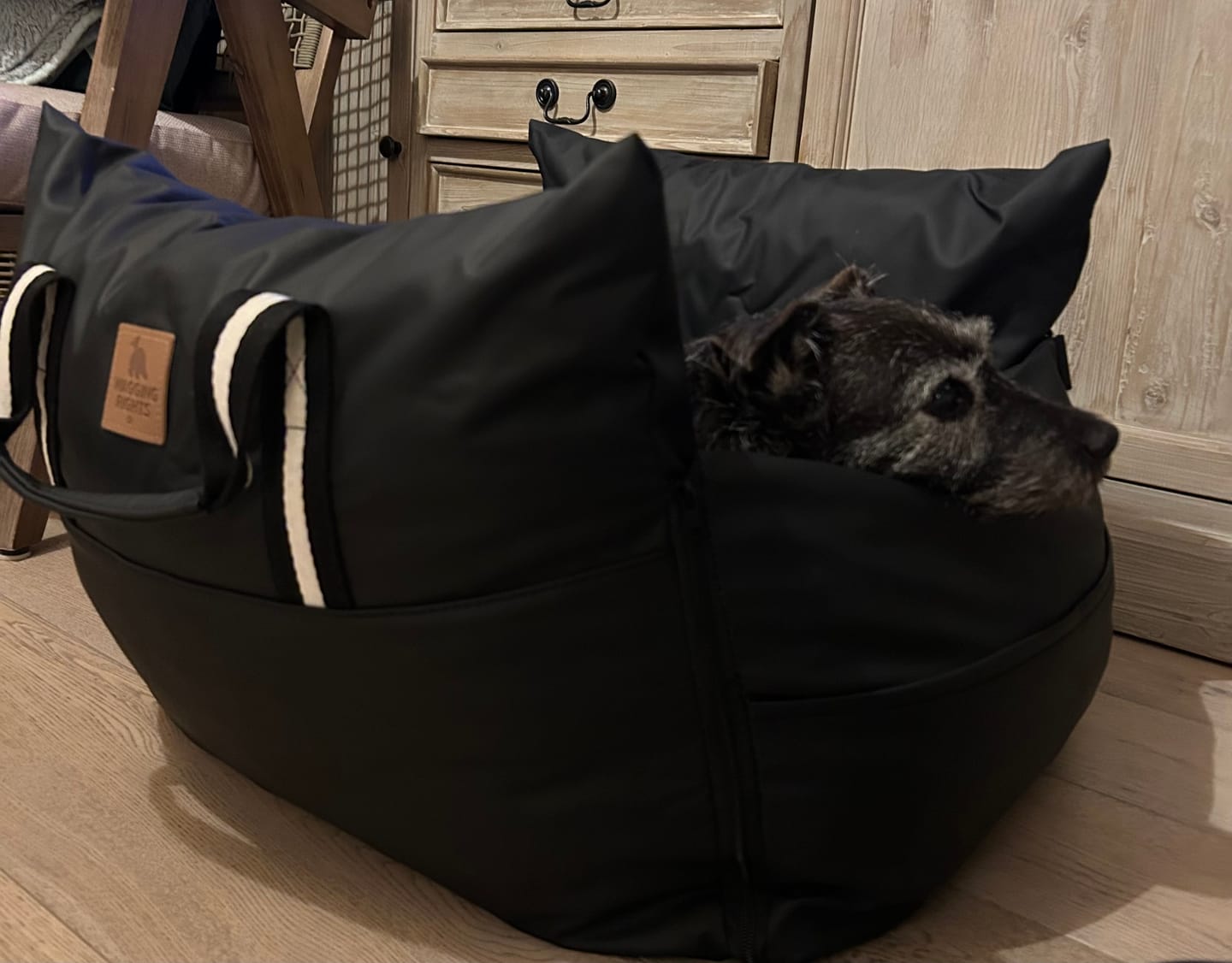 Customer photo review of Dog Dock V2 New & Improved ISO Fix
