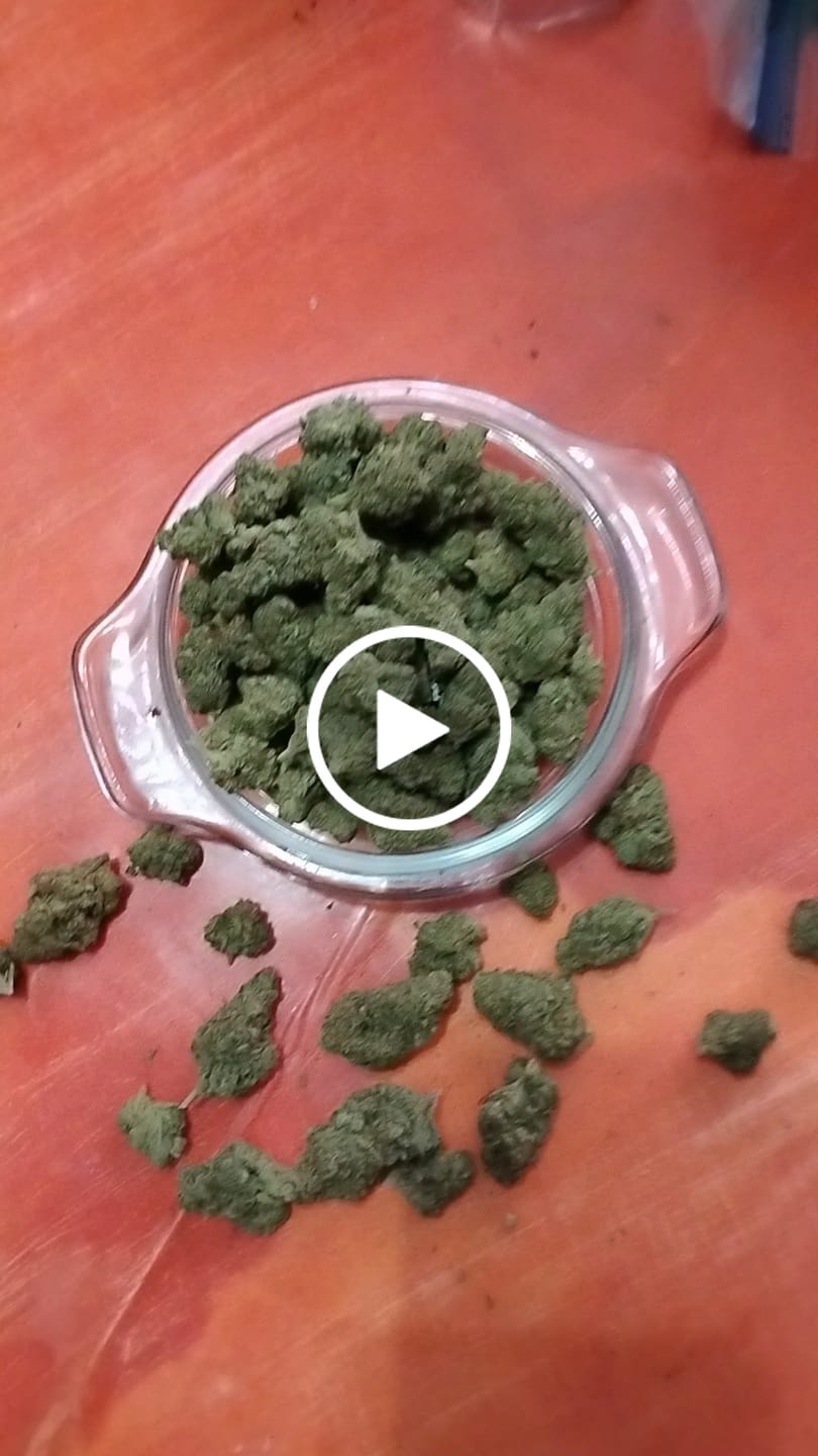 Customer video review of Son of Mac – THCA Flower