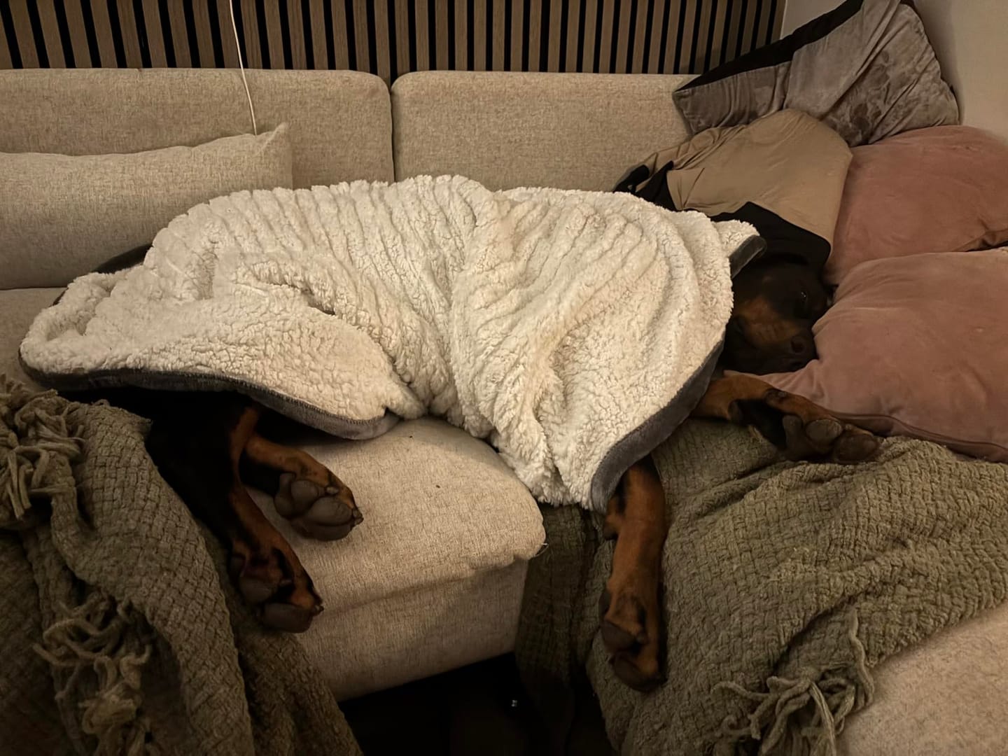 Customer photo review of Wohlfühldecke - Beheizbare Kuscheldecke®