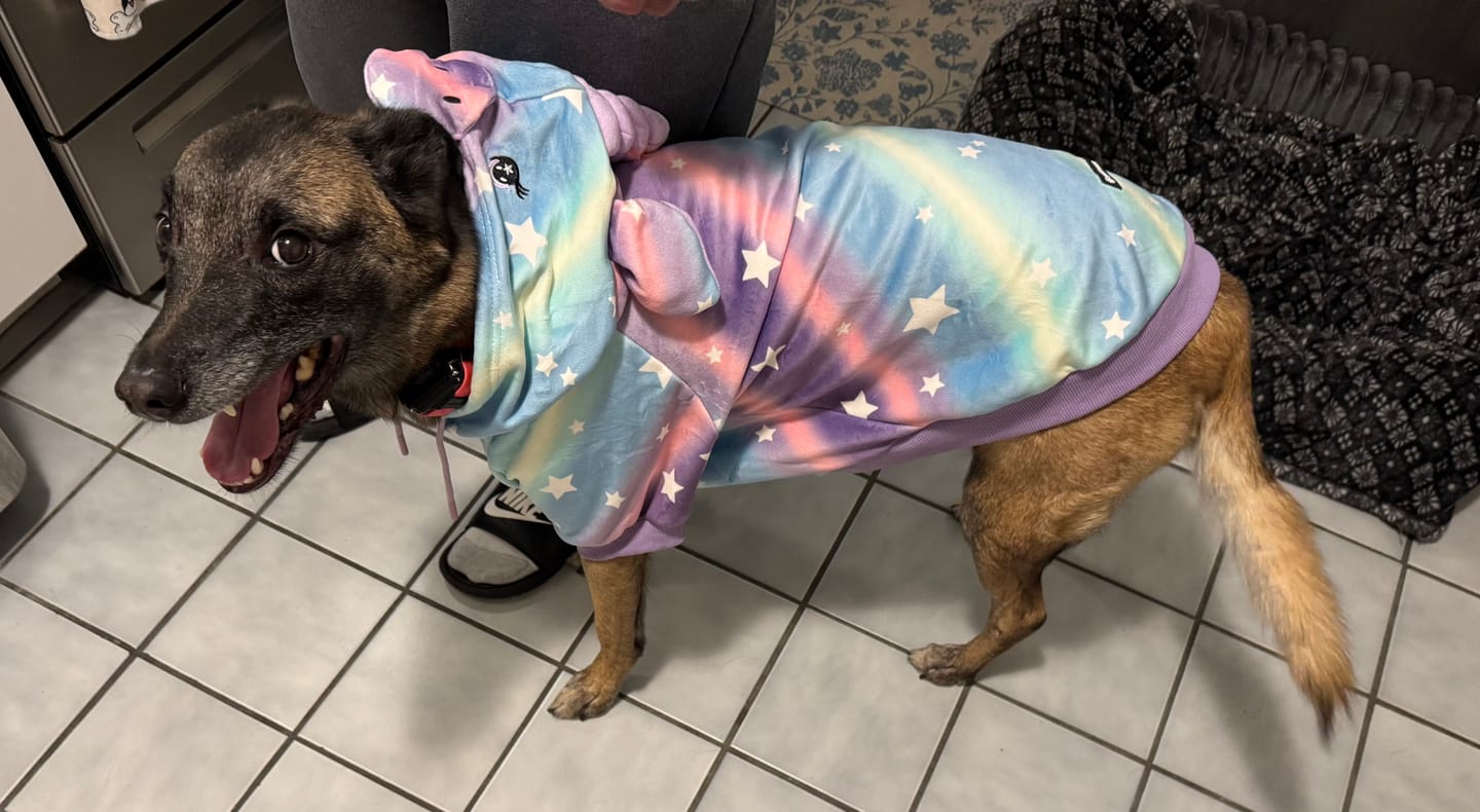 Customer photo review of Unicorn Dog Hoodie